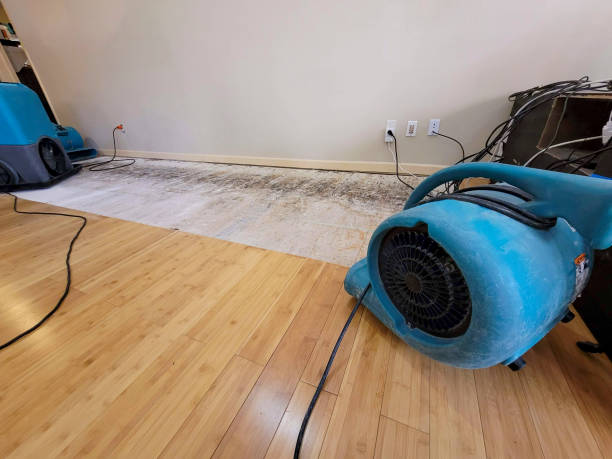 Professional Water Damage Repair technician working in Vancouver, WA